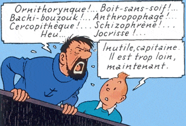 Le Haddock illustré