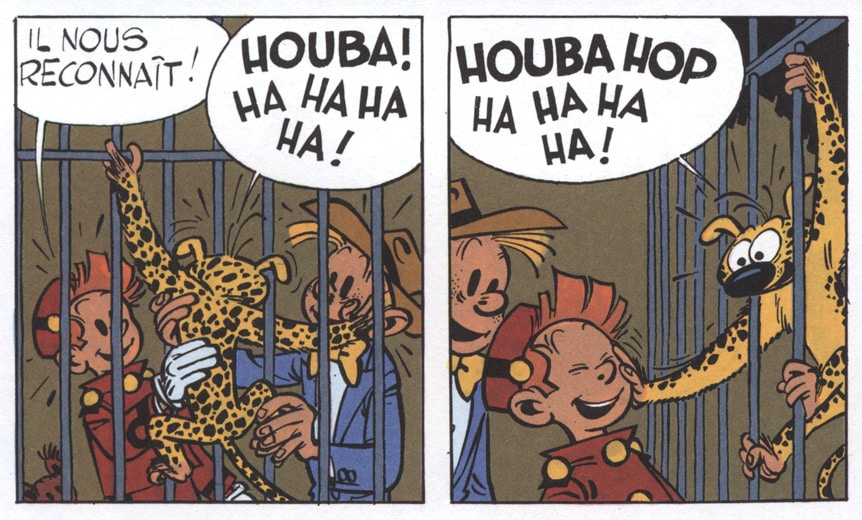 Les voleurs du marsupilami