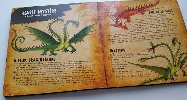 Le livre des dragons