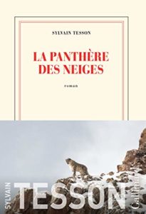 La panthère des neiges