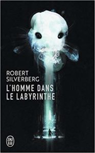 L'homme dans le labyrinthe