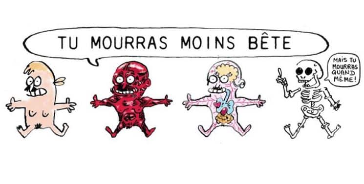 Tu mourras moins bête