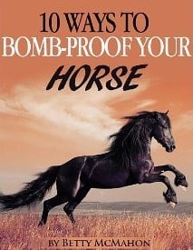 Dix façons de rendre votre cheval résistant aux bombes
