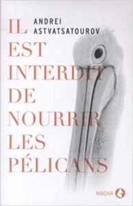 Il est interdit de nourrir les pélicans