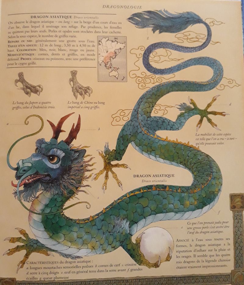 Dragonologie, l'encyclopédie des dragons